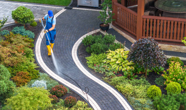 Best Roof Power Washing Services  in Wlowbrook, IL